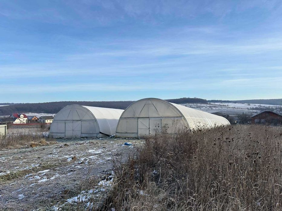 Перспективна ділянка з теплицями для успішного агробізнесу