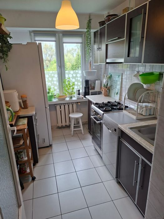 Do wynajęcia 2 pokoje, ulica Heila, Wola Duchacka