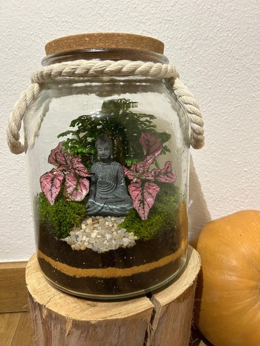 Terrários - vários tamanhos