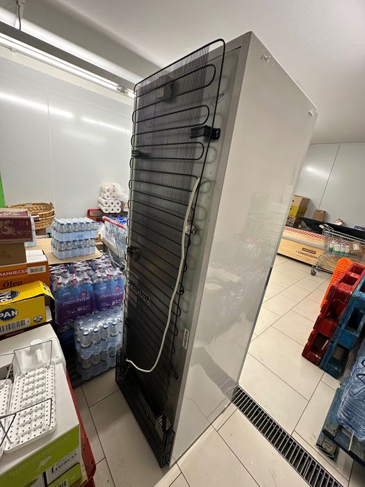 Arca vertical magnus