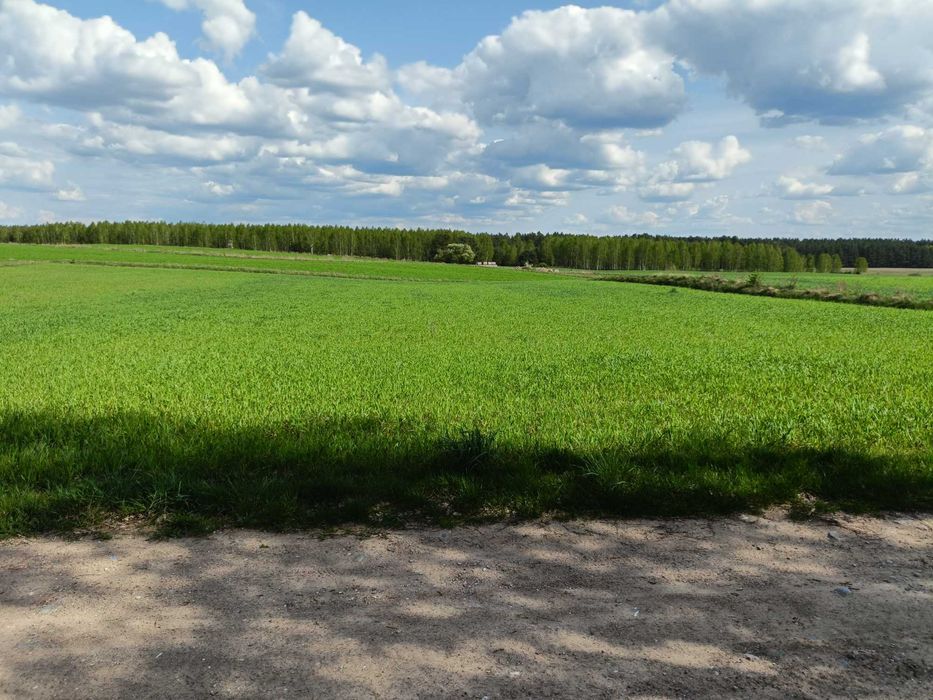 Działka budowlana okolice Szczytna