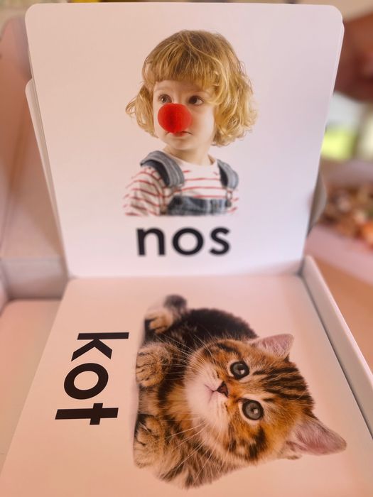 Zestaw kart do nauki czytania