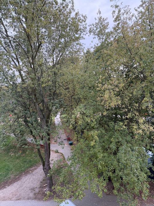 Mieszkanie – Warszawa - Widok 5
