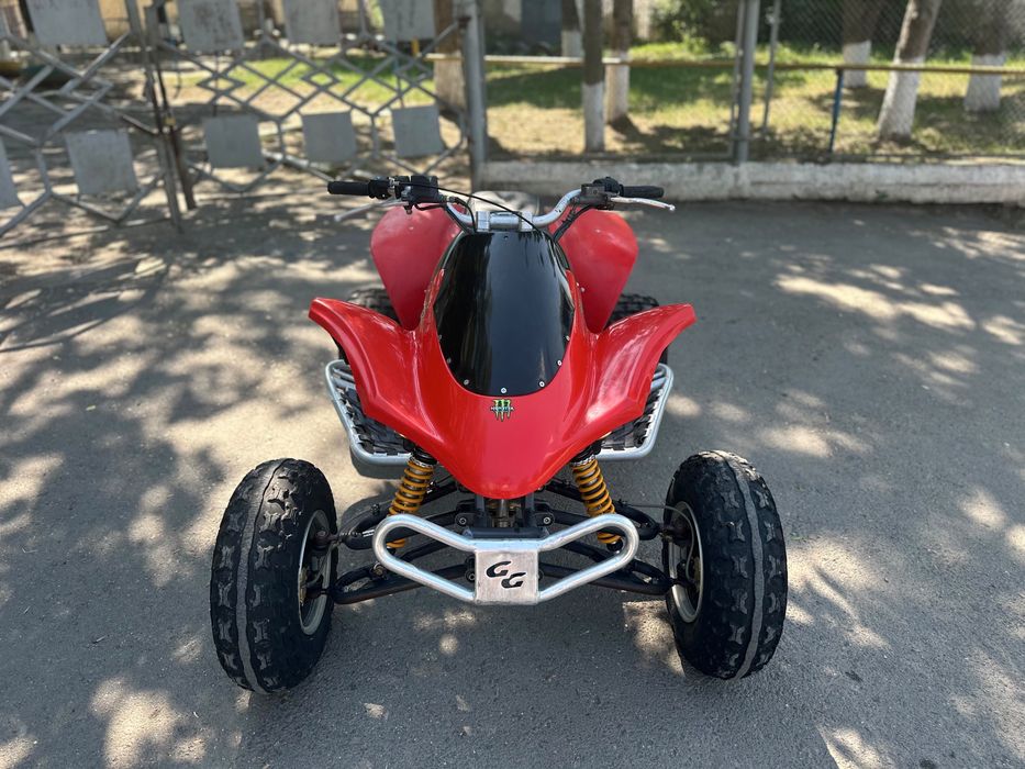 Gas gas wild hp450