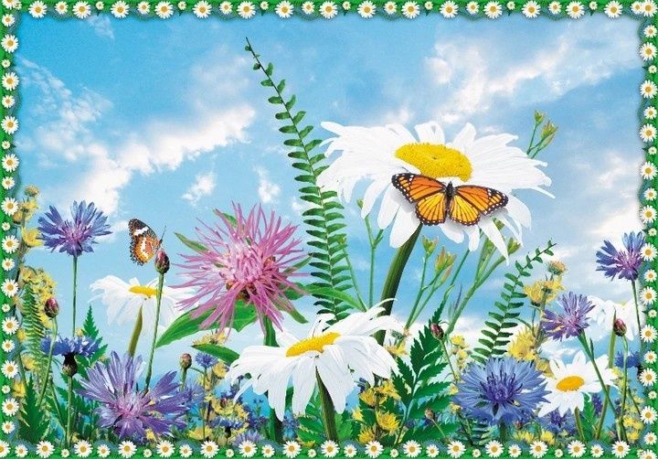 Фотобои  в детскую