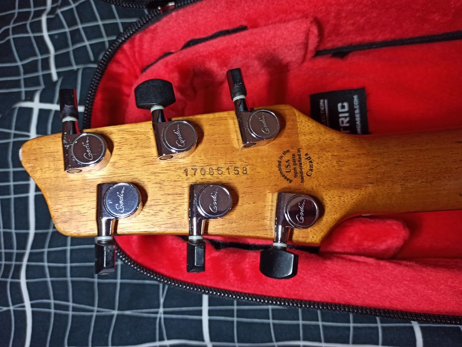 Godin xtSA universal guitar