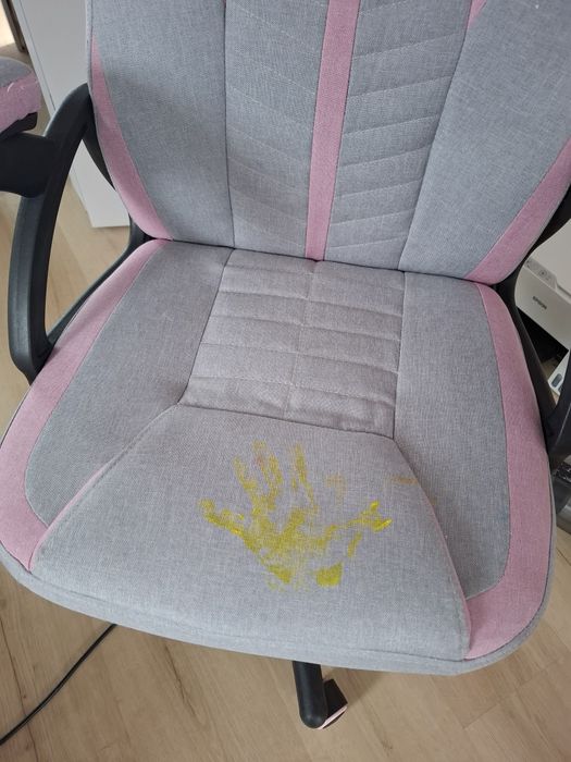 Wynajem odkurzacza piorącego Karcher Puzzi 10/1 na doby!!
