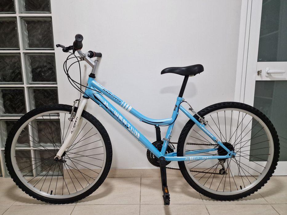 Bicicleta JL-WENTI  Arroyo Roda 26