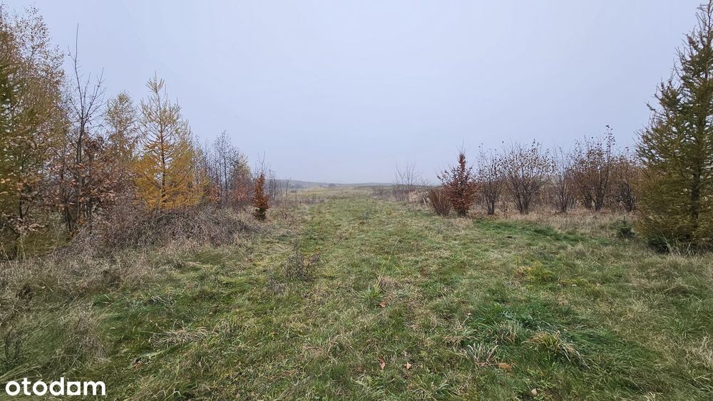 Działka 21900 m² - Widok 6