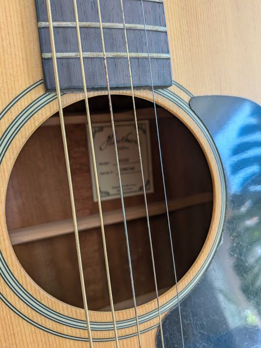 Guitarra Acústica Walden