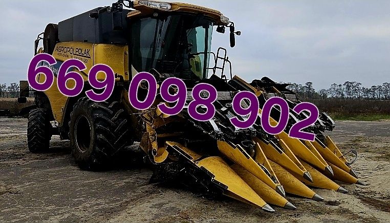 Usługa zbioru koszenia kukurydzy 500zl/ha  skup 685 netto