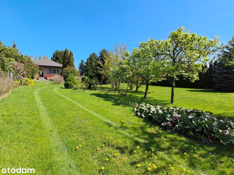 Zobacz! Duża działka budowlana z domkiem całorocznym!Super lokalizacja