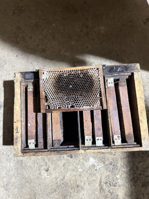 Нуклеуси для бджоломаток (чотирьохмісні)