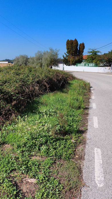 Terreno para venda