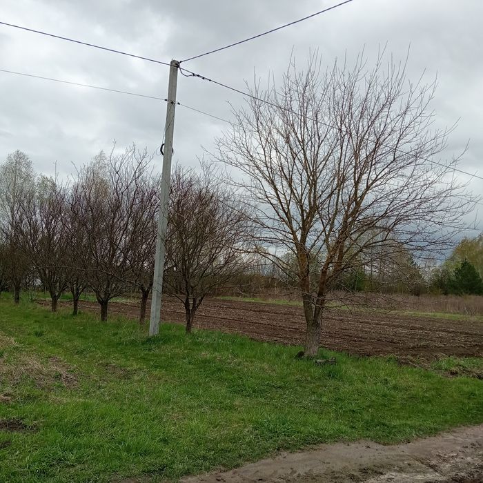 Гарний участок на Смоківці