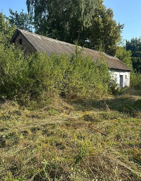 Продам будинок з великою земельною ділянкою, Орестів