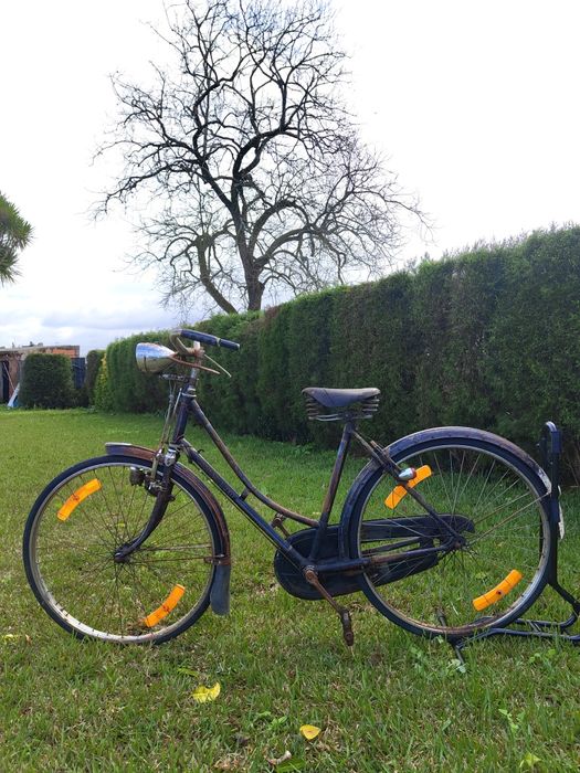 Lote de bicicletas pasteleiras