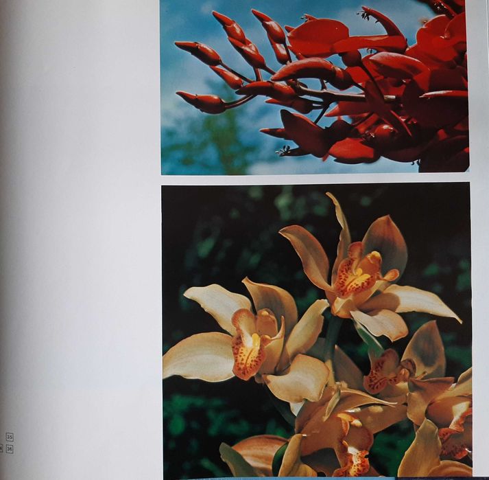 Glimpse of Madeira e Funchal / fotografias anos 80 raro