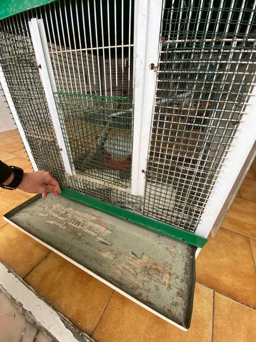 Gaiola Pássaros Grande cerca de 1mx1m