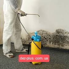 Уничтожение плесени • Генеральная уборка • Убрать запах • Химчистка