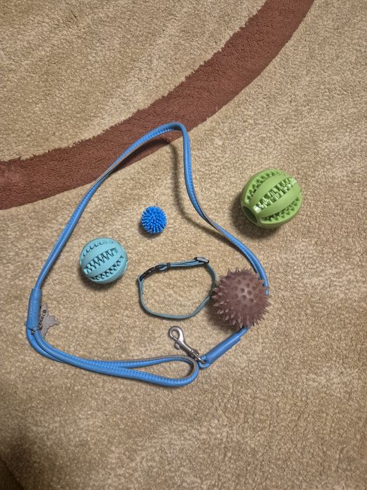 Продам аксесуари для тварин