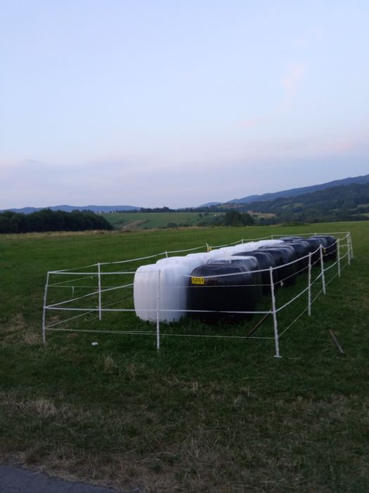 Siano 2025 kostki i bele