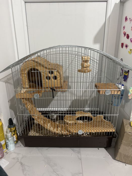 Клітка для шиншилли