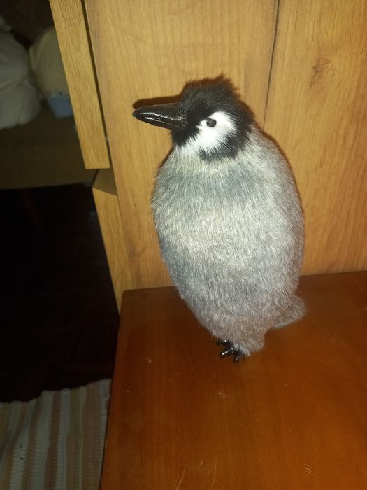 Pinguim de plástico com pêlo