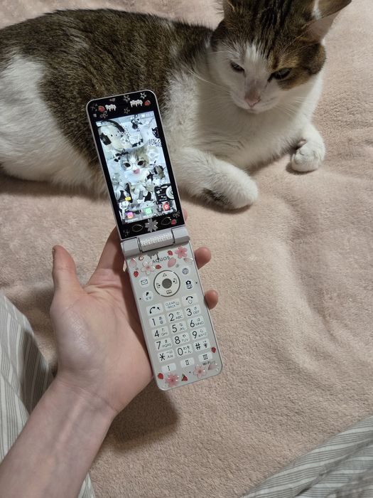 Aquos Sharp 601sh