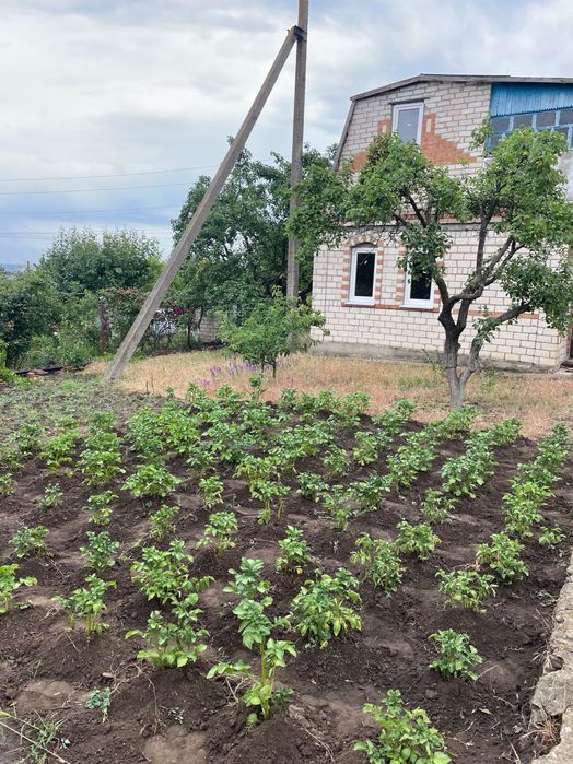 Продам дачу Сади 3, СТ,, Бугський,,