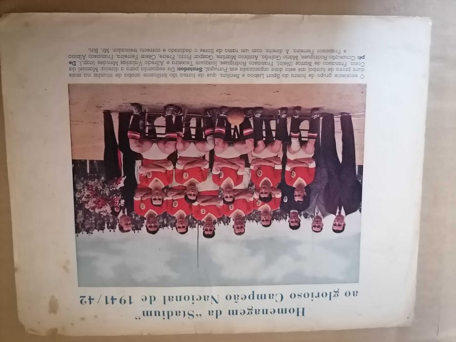 Separata BENFICA Campeão Nacional 1941/42 Homenagem da STADIUM