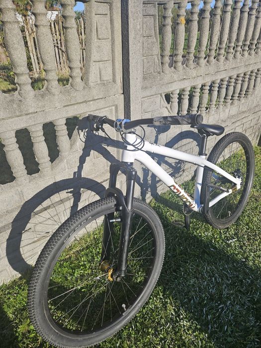 Rower Dirt Ns Bikes Movement 3