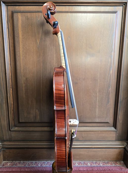 Violino 4/4 Francês