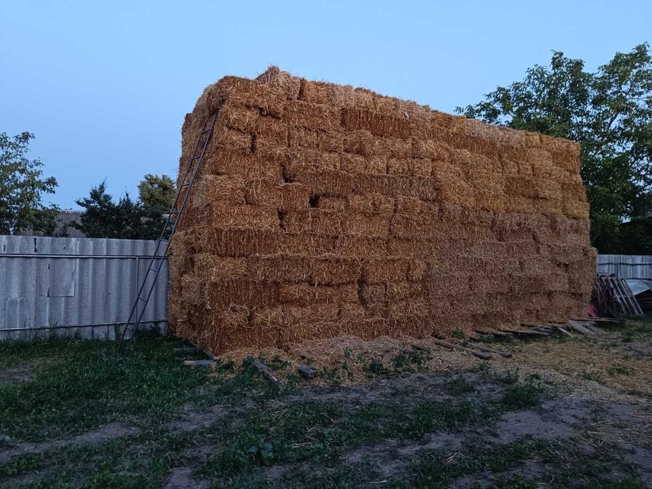 Продам тюки соломи