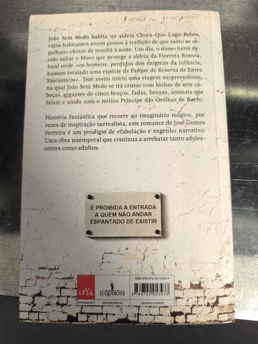 Aventuras de João Sem Medo — José Gomes Ferreira