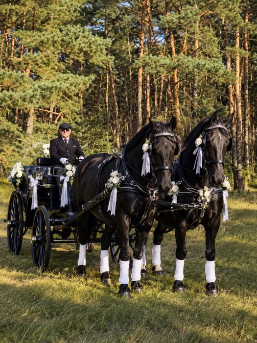 Bryczką do ślubu