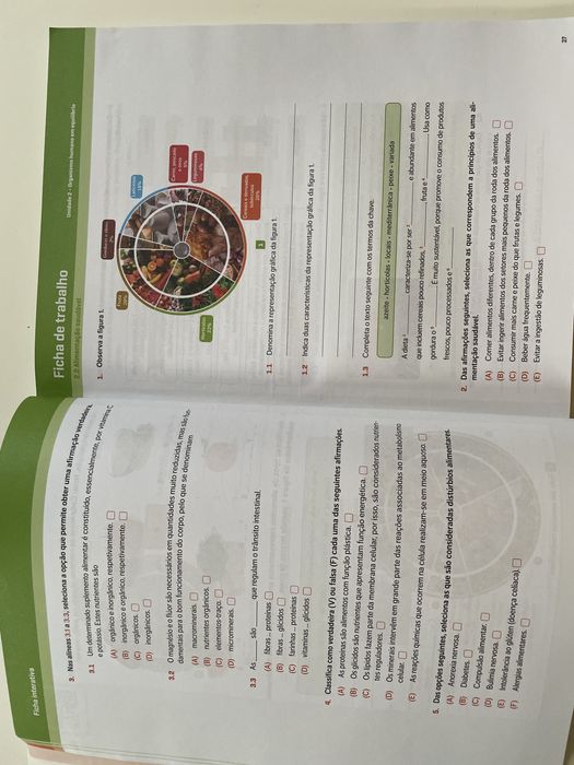 Caderno de fichas Ciências Naturais 9 ano