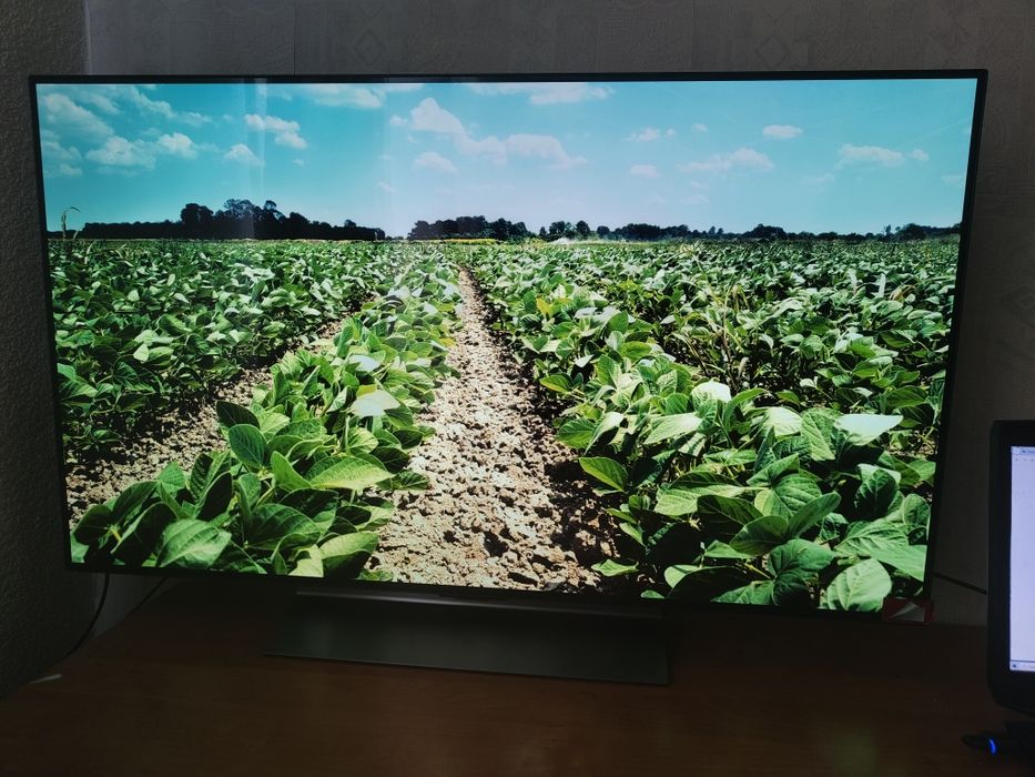 Телевизор LG OLED 48 C5