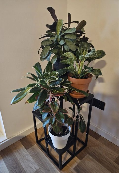 Metalowy kwietnik 4-poziomowy 68 cm czarny marmur glamour