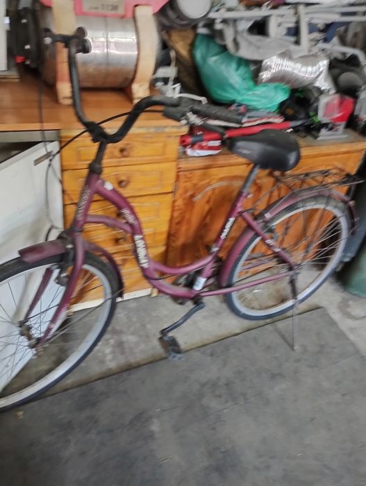 Rower dziecięcy i damka