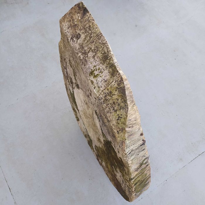 Bolacha/Rodela Madeira Plátano