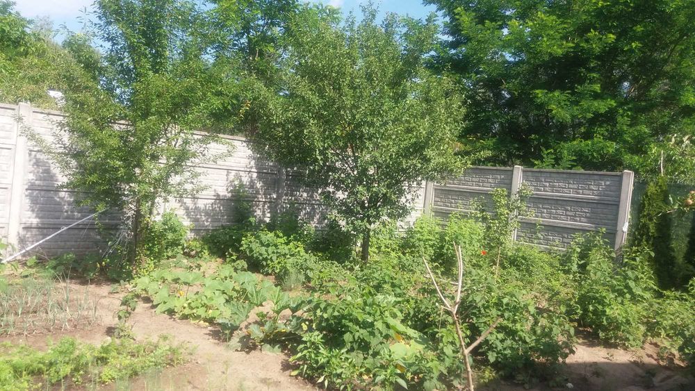 Działka budowlana w Kaniach - Więcej