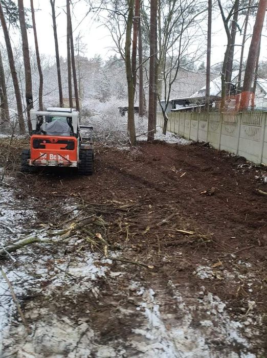 Wycinka pielęgnacja drzew rębak czyszczenie koszenie działek mielenie