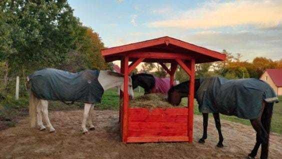 PAŚNIK, karmnik, bardzo MASYWNY!!, konie, siano, balot.