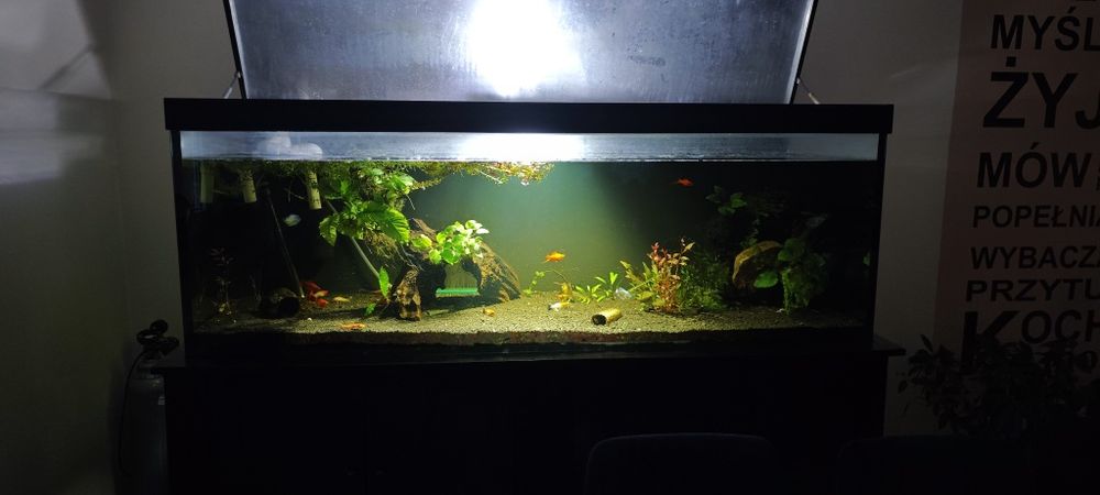 Akwarium 650L 180x60x60