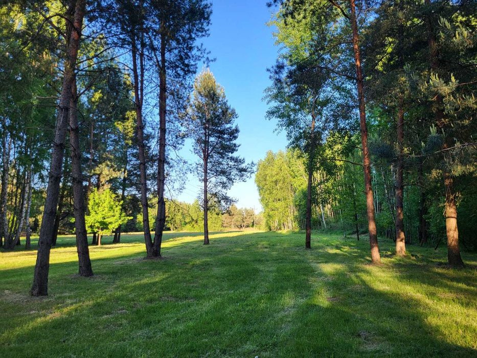 Pięknie położona duża działka (WZ; 38 arów)