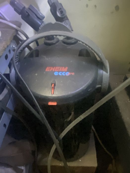 Aquario 120l + filtro externo + luz led