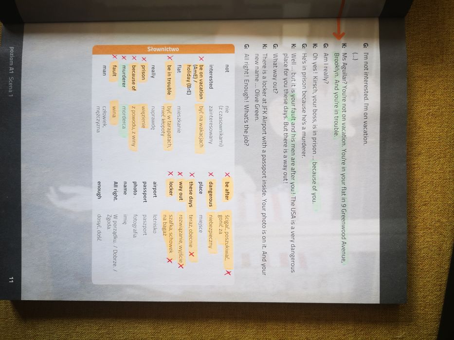 SuperMemo Olive Green Angielski kurs z filmem interaktywnym A1-C1