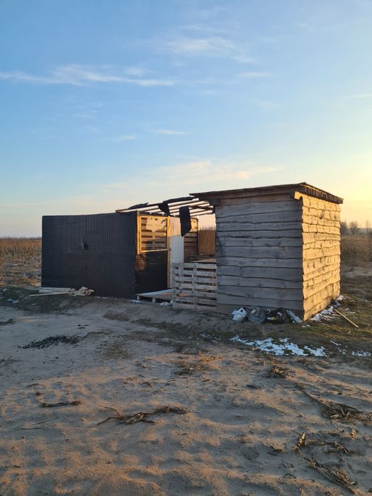 Оренда землі, 2,15га, с.Вища Дубечня,  під ягоди, овочі, теплиці, сад