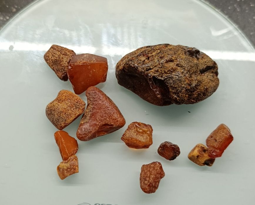 Bursztyn surowy bałtycki 50g